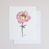PINK PEONY POSTER